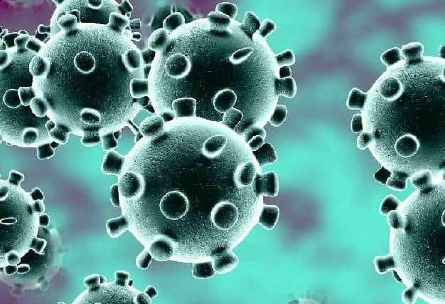 We need to know the true number of coronavirus  deaths in MK, say councillors