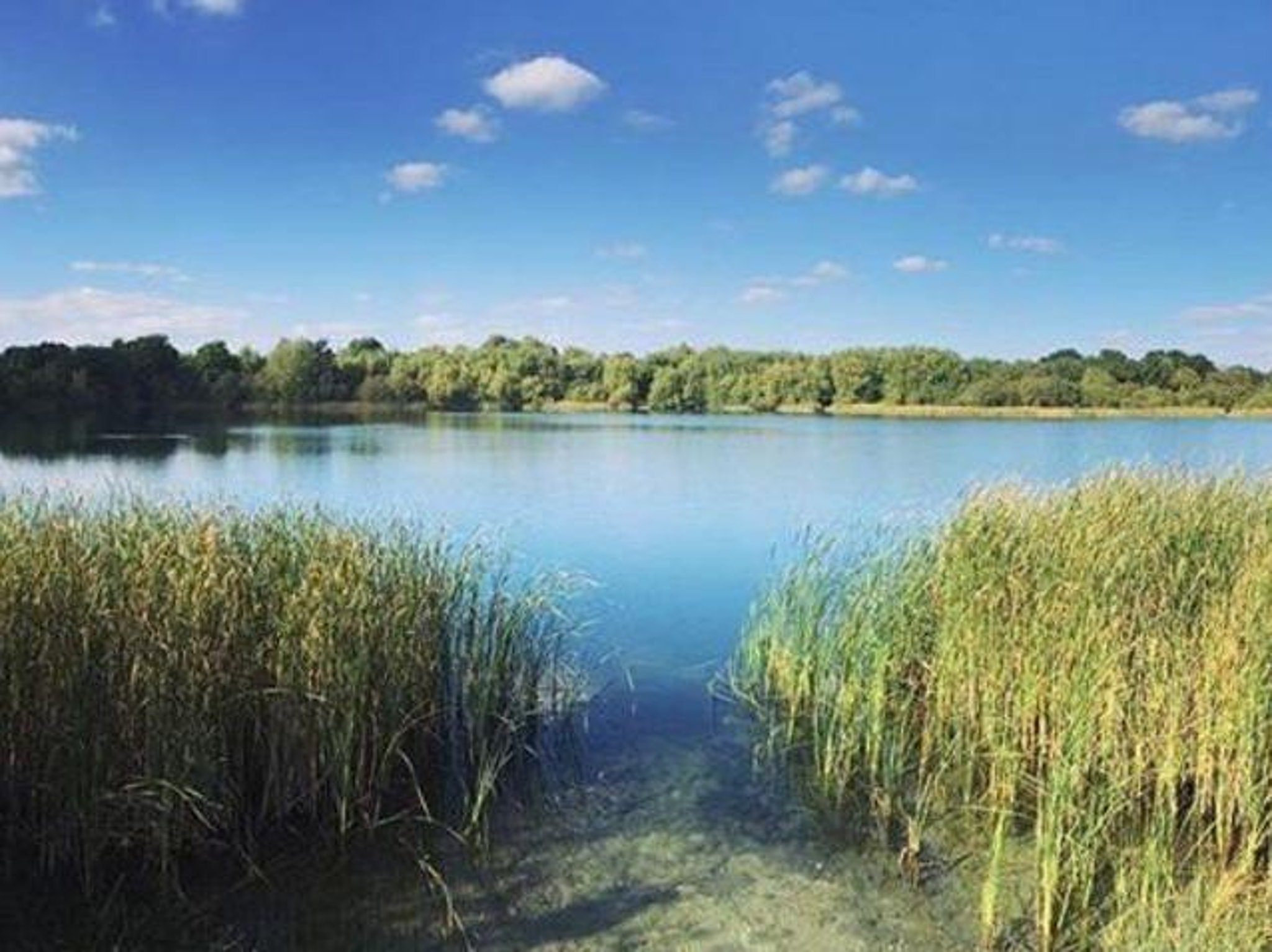 photo Blue Lagoon Lake Milton Keynes milton keynes nature reserve