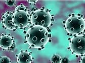 Coronavirus