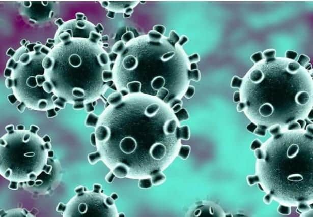 Coronavirus is killing people in care homes