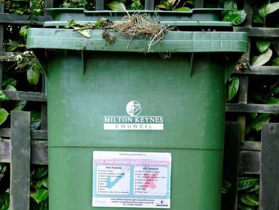 Green bin collections will start again soon