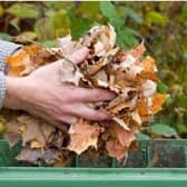 Garden waste