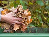 Garden waste