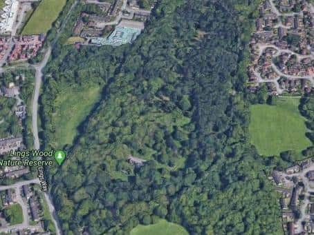 The body was found in Lings Wood yesterday