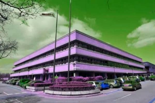 The purple will show solidarity