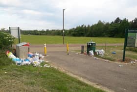 Leaving rubbish next to a full bin still counts as littering