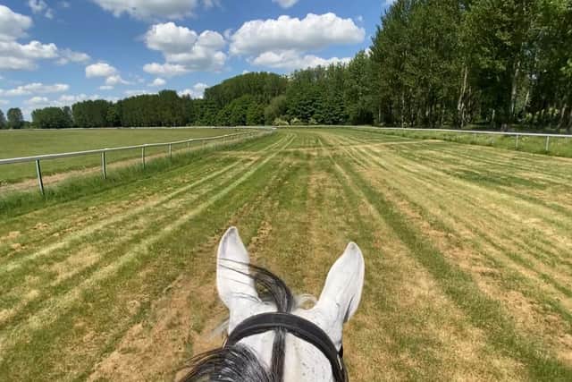 View from the saddle for riders galloping around Towcester Racecourse