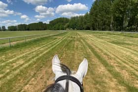 View from the saddle for riders galloping around Towcester Racecourse