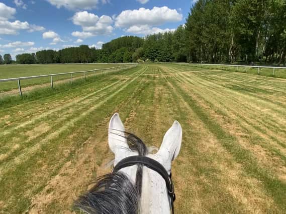 View from the saddle for riders galloping around Towcester Racecourse