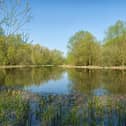 Stony Stratford Nature Reserve