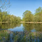 Stony Stratford Nature Reserve