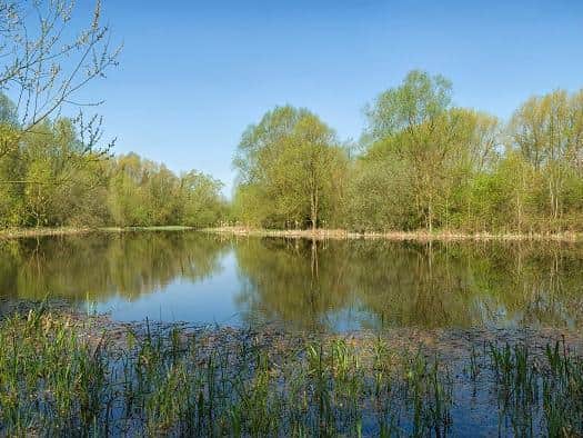 Stony Stratford Nature Reserve