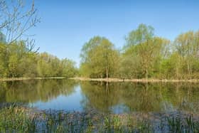 Stony Stratford Nature Reserve