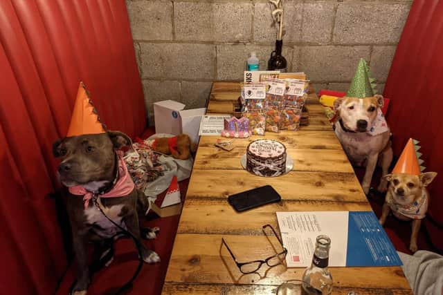 The canine guests get VIP treatment