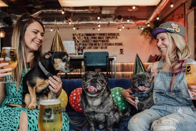 A doggy birthday party in full swing at Brewdog