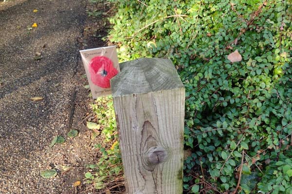 A Remember Me poppy
