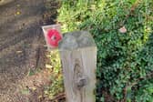 A Remember Me poppy