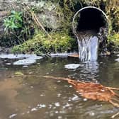 Raw sewage is flowing into our rivers, say MK councillors