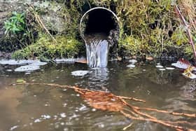 Raw sewage is flowing into our rivers, say MK councillors