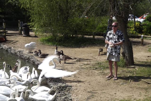 Dennis Edwards feeding the swans at Furzton Lake