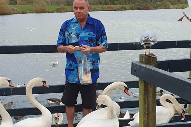 The swans are ravenous, says Dennis