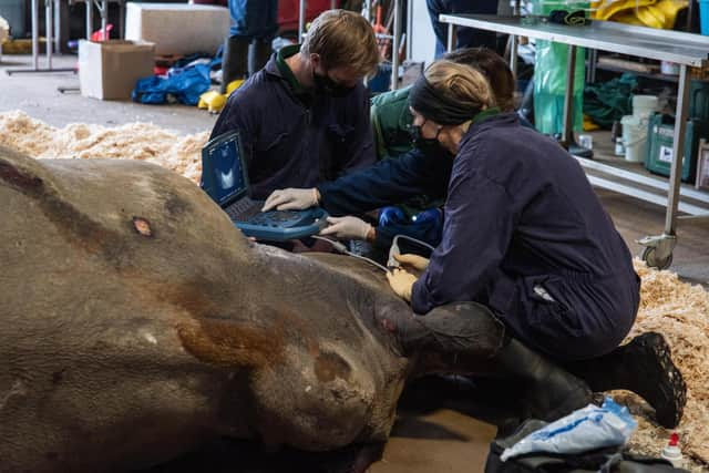 Tissue samples, taken at the post-mortem, will be used for a wide range of veterinary research and conservation projects