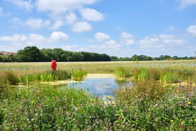 One of the ponds at the new East West Rail project