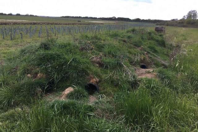 Artificial badger setts were built as part of the East West Rail project