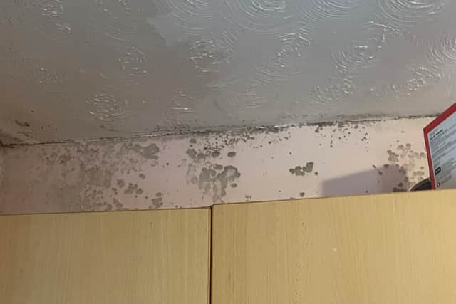 You can see the damp on the ceiling