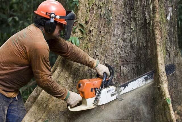 The PC was working as a tree surgeon. This is a generic photo from Getty Images.
