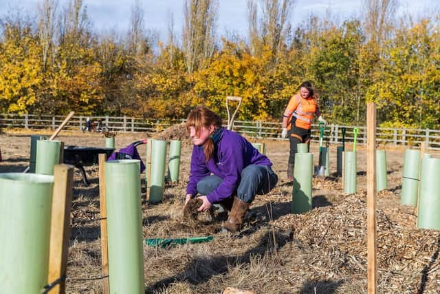 The Parks Trust ise a self-financing charity caring for over 6,000 acres of parks, woodlands and lakes in Milton Keynes