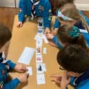 1st Crownhill Beaver Colony