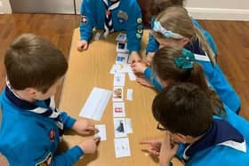 1st Crownhill Beaver Colony