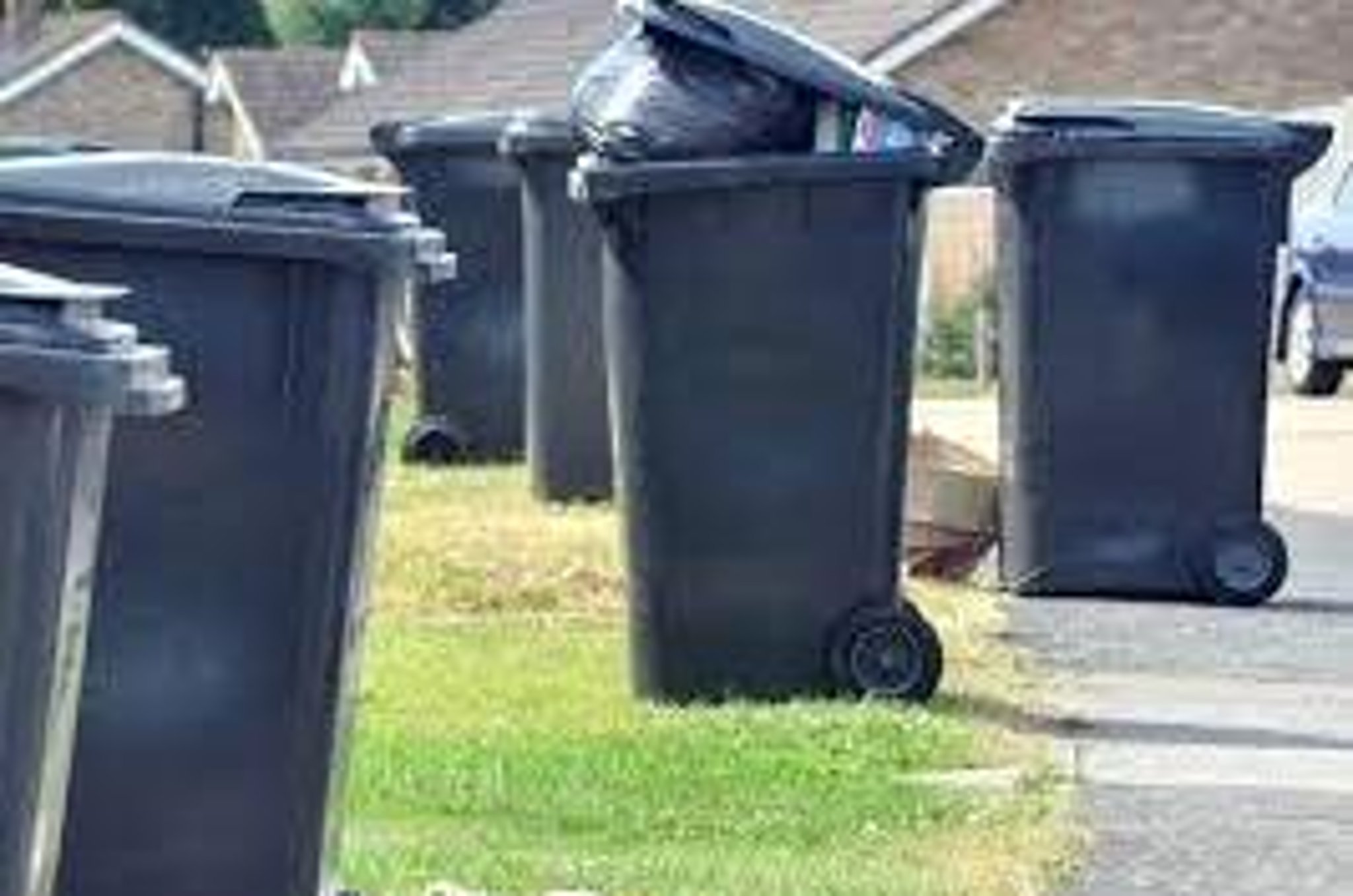Wheelie bins move one step closer to being rolled out across Milton