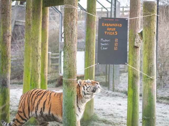 Whipsnade Zoo’s keepers began the mammoth task of counting every animal for their annual stocktake