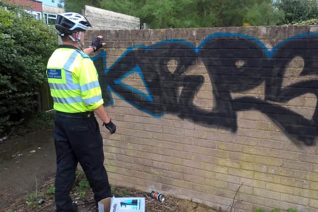 Police can prosecute graffiti vandals