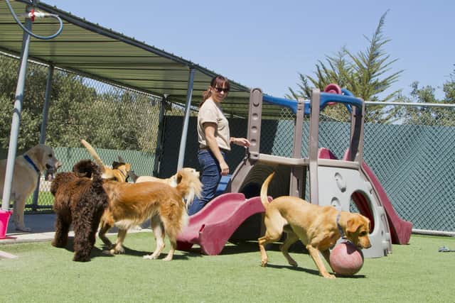 The experts will give training to animal business inspectors all over the country
