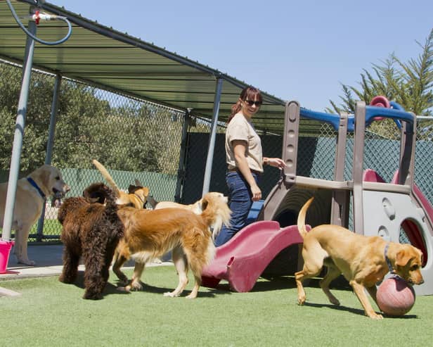 The experts will give training to animal business inspectors all over the country