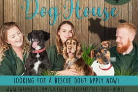 The Dog House is searching for applicants from MK
