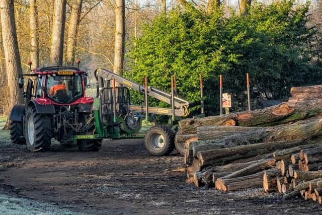 Trees are being cut down for a good reason in MK
