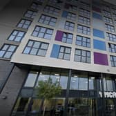 The pet was found near the YMCA building in MK