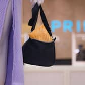 Greggs has entered a collaboration with Primark in MK. Photo: Social media