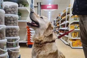 Dogs are now welcome in Wilko at MK's Kingston shopping centre