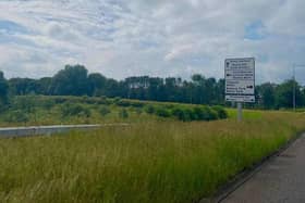 An overgrown roundabout