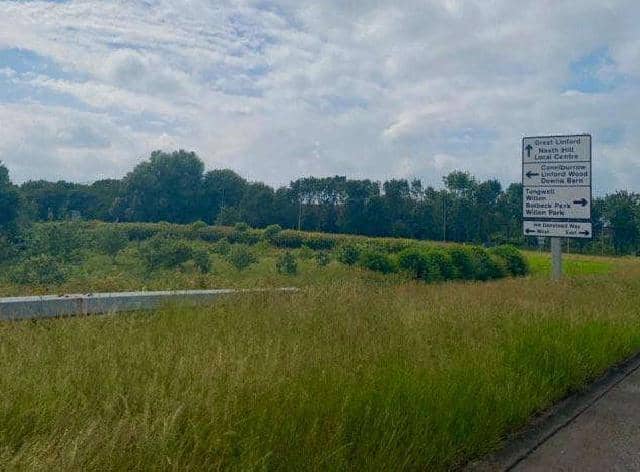 An overgrown roundabout