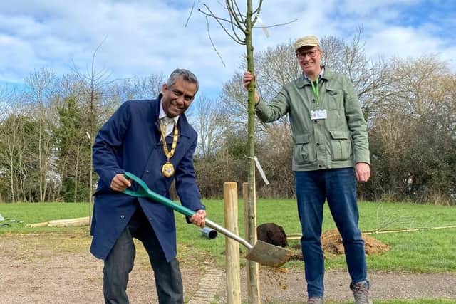 MK Mayor Mohammed Khan helps plant one of the new trees at Shenley Brook End today