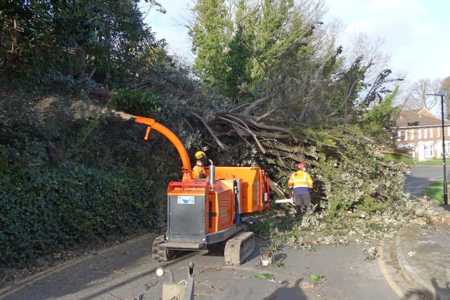 Fallen trees blocked Naomi Close, Meads. Photo by Barry Ayres