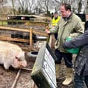 Greg Smith MP with founder Jane Tomblin at Curly Tails