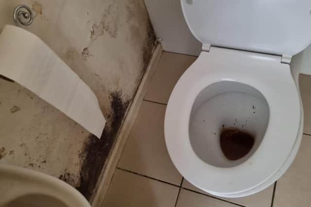 Mould is growing in the bathroom and toilet where the flat has been damp and unoccupied