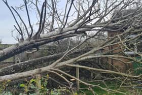 The fallen tree has blocked rear access to the property in Ouzel Close, Bletchley